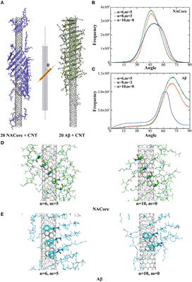 Morphological Determinants of Carbon Nanomaterial-Induced Amyloid Peptide Self-Assembly